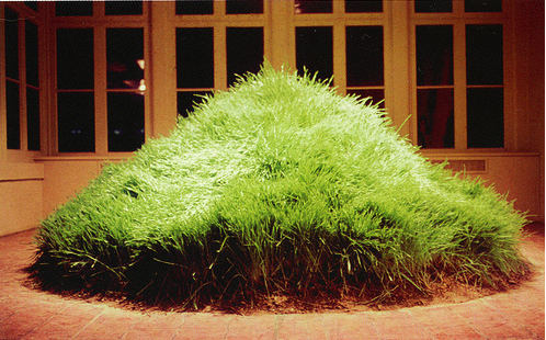 Hans Haacke, Grass Cube, 1967