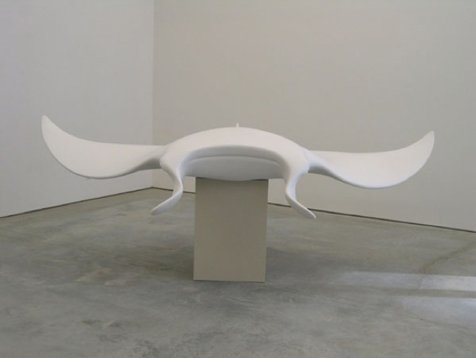 James Angus, Manta Ray, 2002, Hydrocal, 55 x 310 x 280 cm