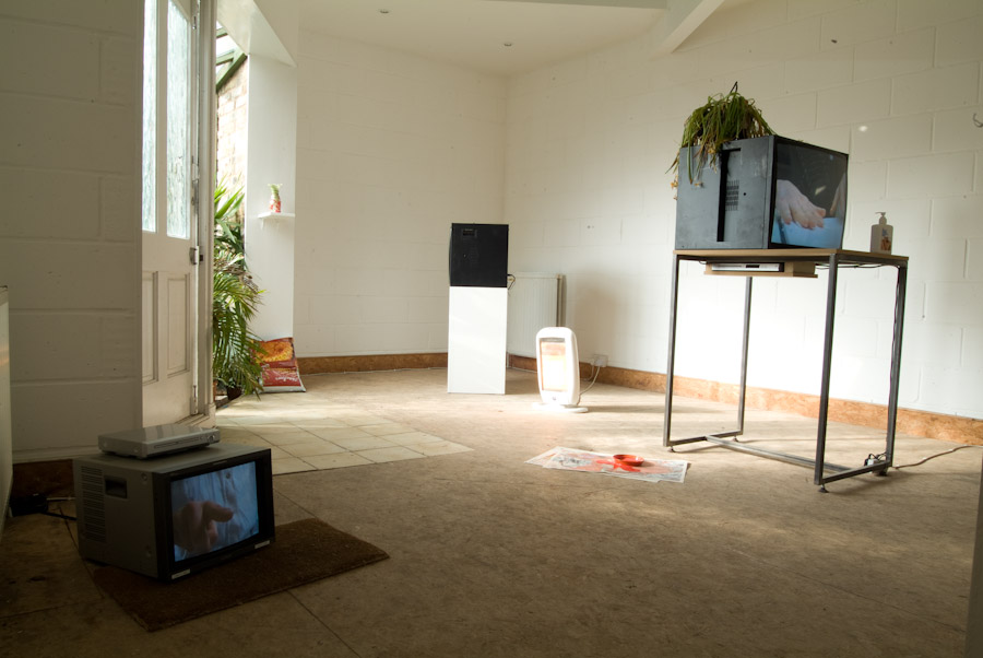 Laure Prouvost, All these things think link - Flattime House, 2010, Installation View