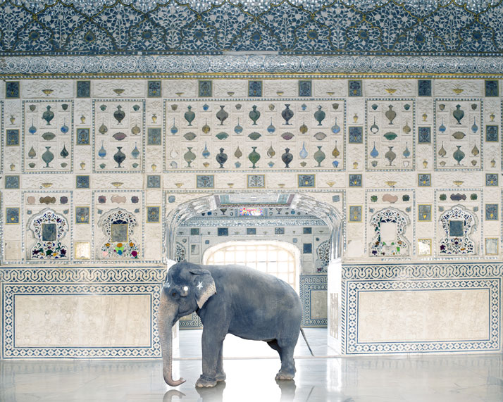 Karen Knorr, Temple Servant, Amber Fort, Jaipur. From the book India Song © Skira Editore. Courtesy of the artist.