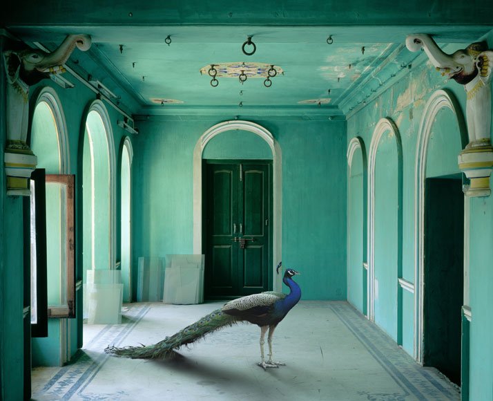 Karen Knorr, The Queen’s Room, Zanana Palace, Udaipur. From the book India Song © Skira Editore. Courtesy of the artist.