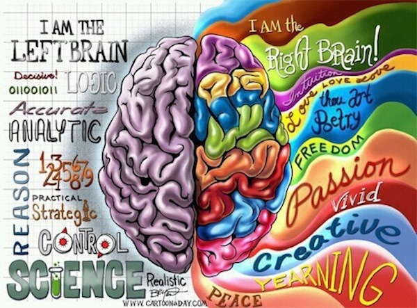 3-No-Left-Right-Brain
