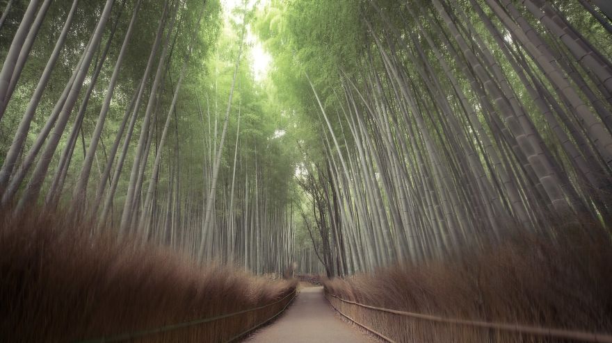 Silence Arashiyama (Kyoto)