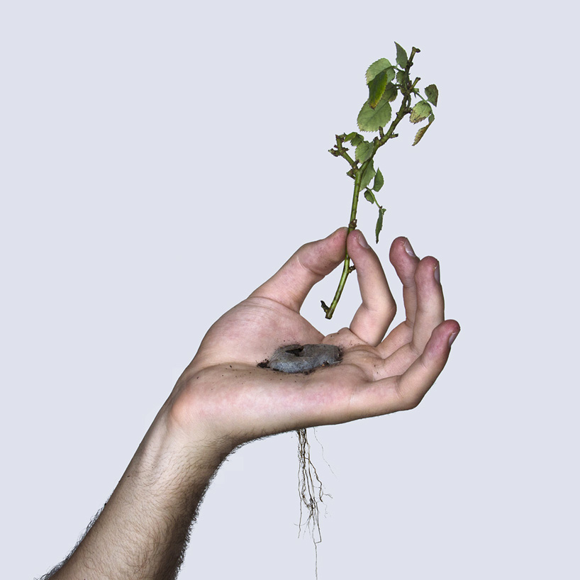 david-cata-grows-a-plant-in-the-palm-of-his-hand-designboom-021