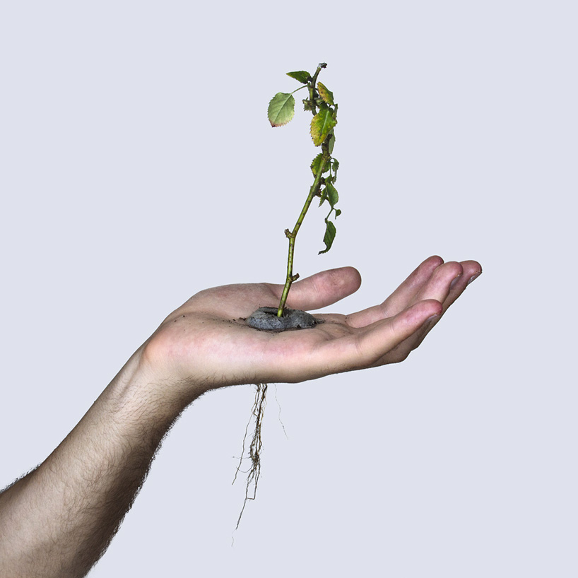 david-cata-grows-a-plant-in-the-palm-of-his-hand-designboom-03