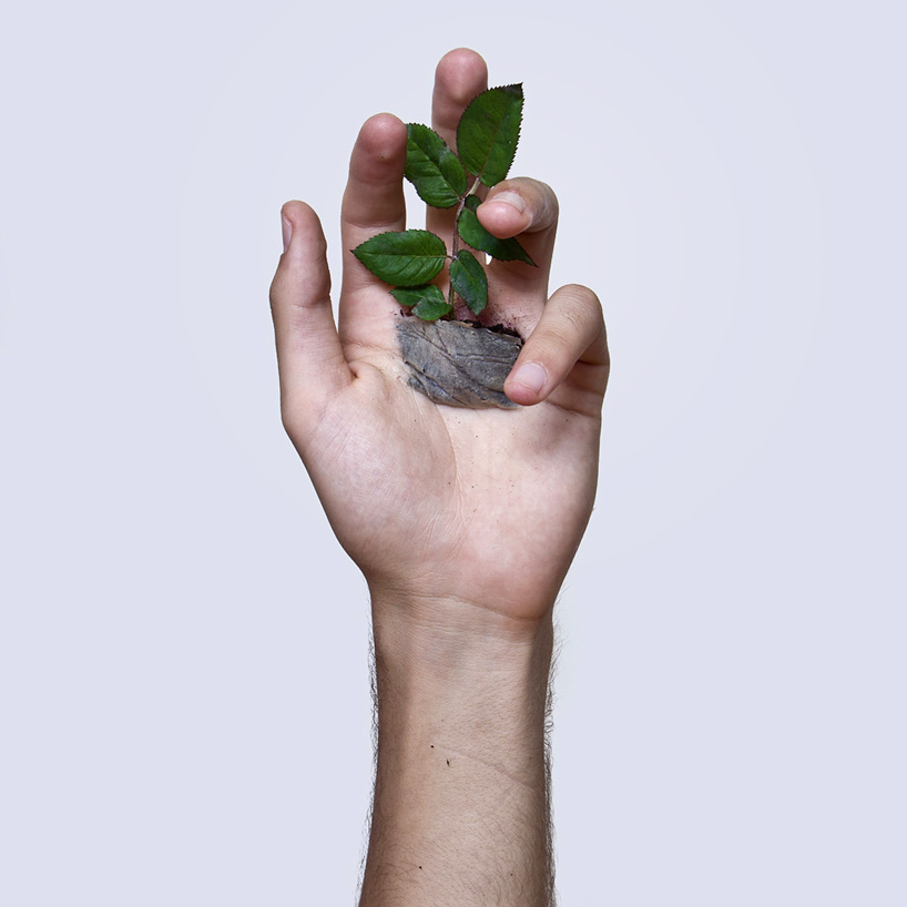 david-cata-grows-a-plant-in-the-palm-of-his-hand-designboom-04