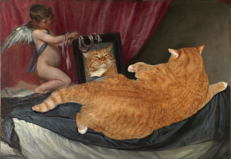 fat-cat-photoshopped-into-famous-artworks-11