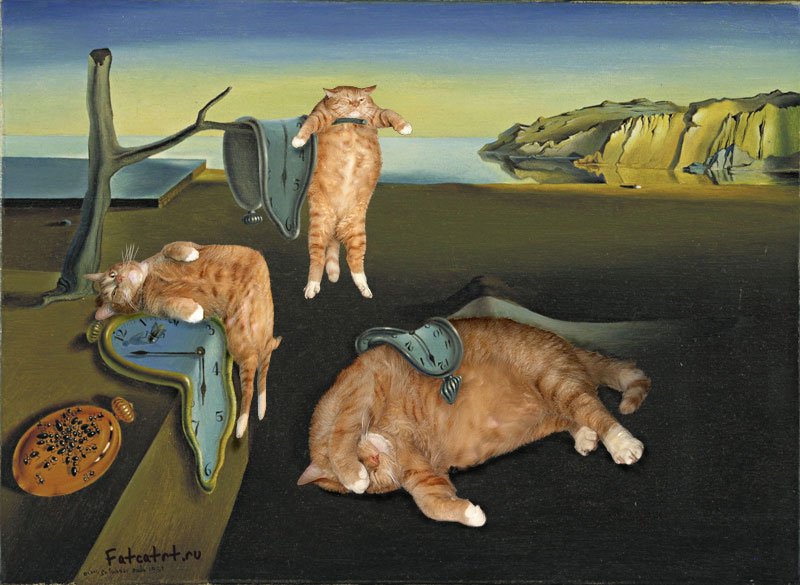 fat-cat-photoshopped-into-famous-artworks-15