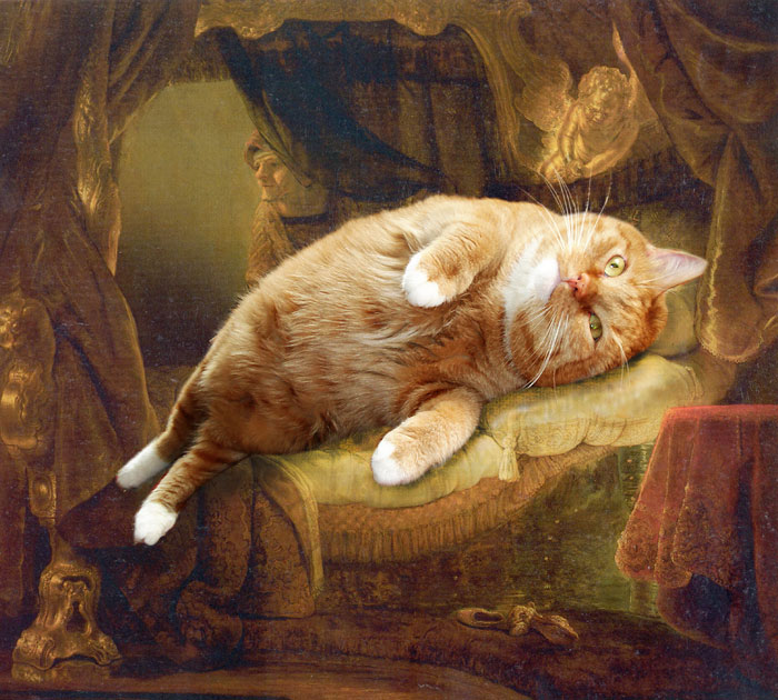 fat-cat-photoshopped-into-famous-artworks-5