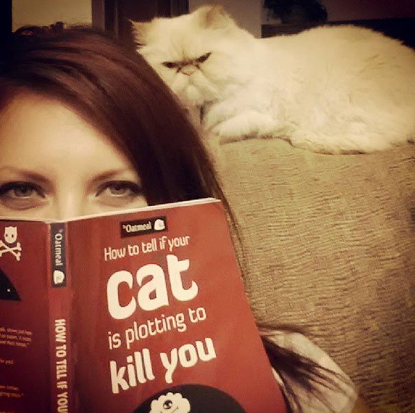 funny-evil-cat-planning-to-kill-you-23__605