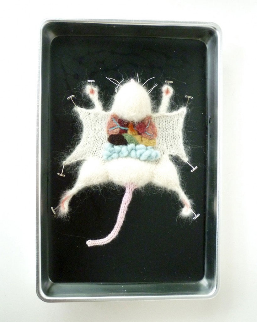 knit-animal-dissection-anatomy-emily-stoneking-aknitomy-11