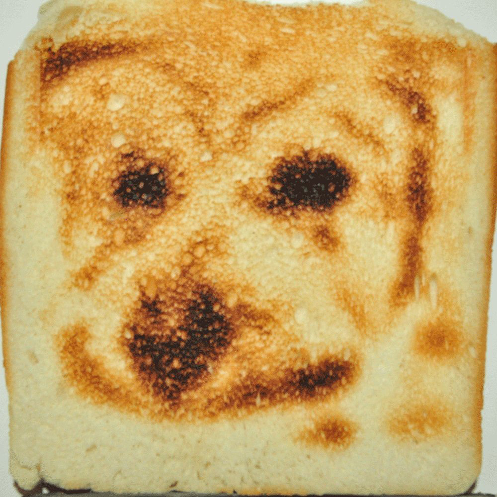 selfie-toaster-4
