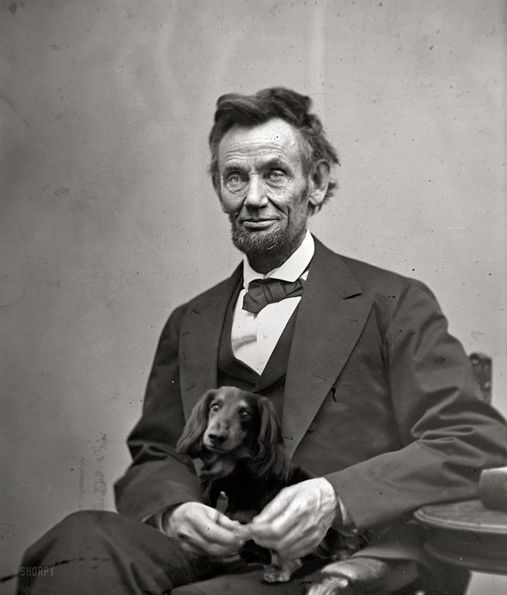 Abe had a Dachshund!
