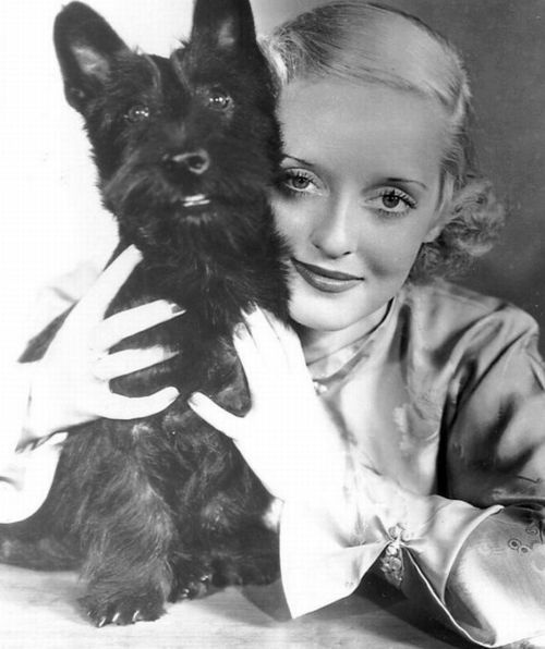 Image result for vintage photos dogs and authors famous people