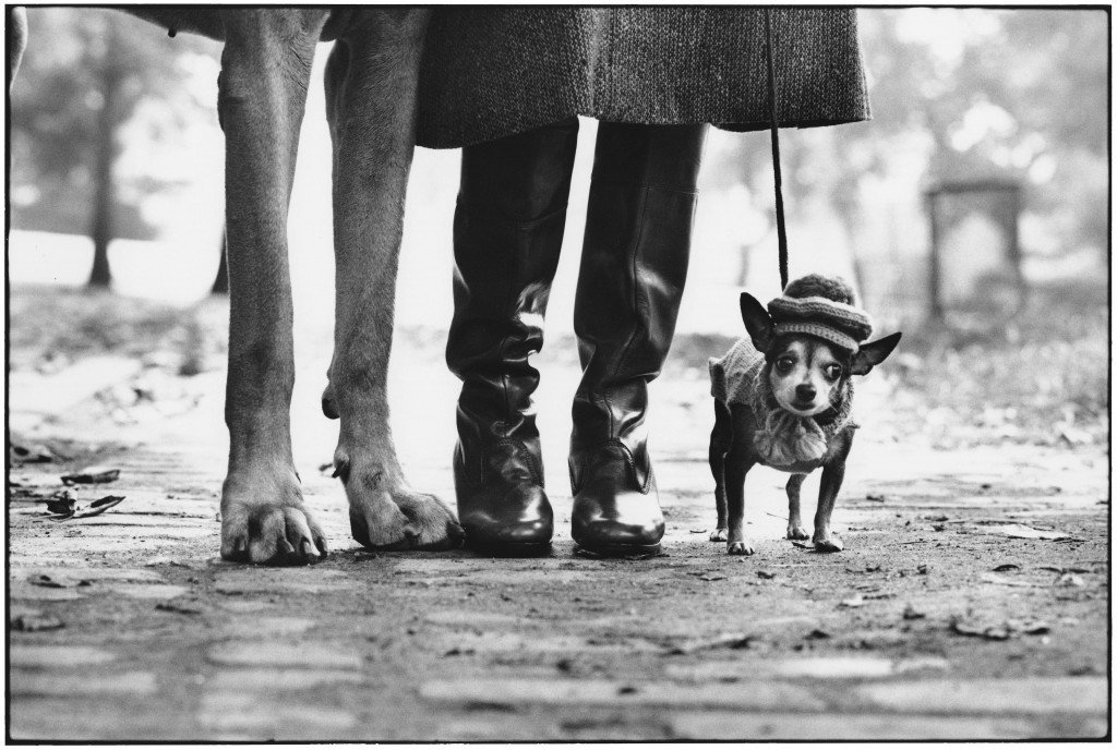 Elliott Erwitt, USA, New York, 1974, Felix Gladys and Rover.