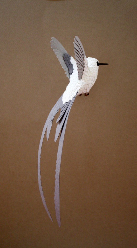 Hummingbird-in-progress-small__880