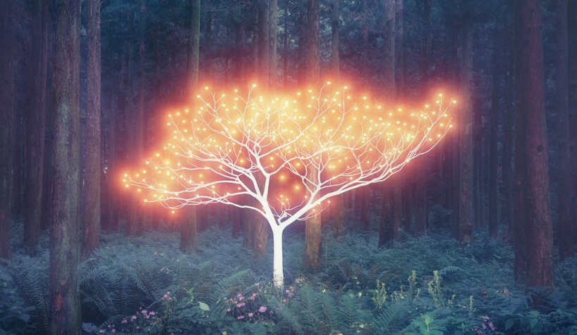 lee-jeong-lok-light-painting-designboom-03