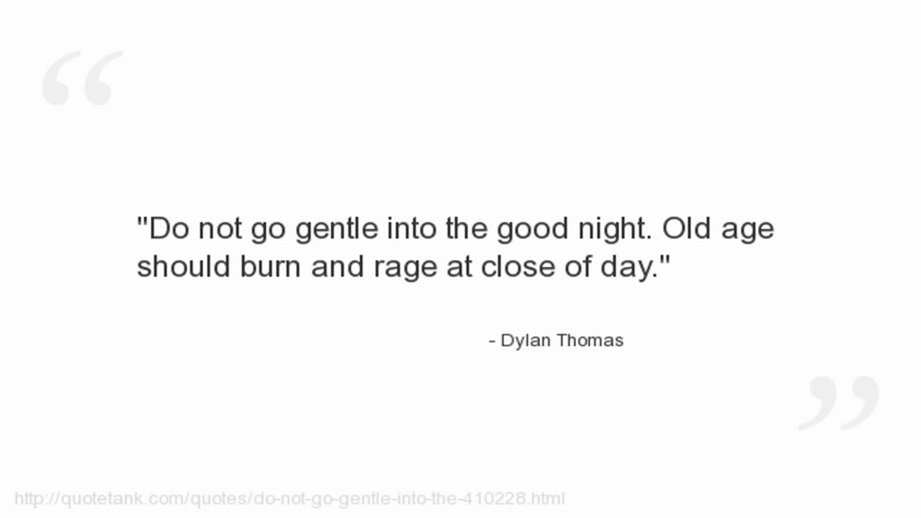 Do Not Go Gentle Into That Good Night by Dylan Thomas