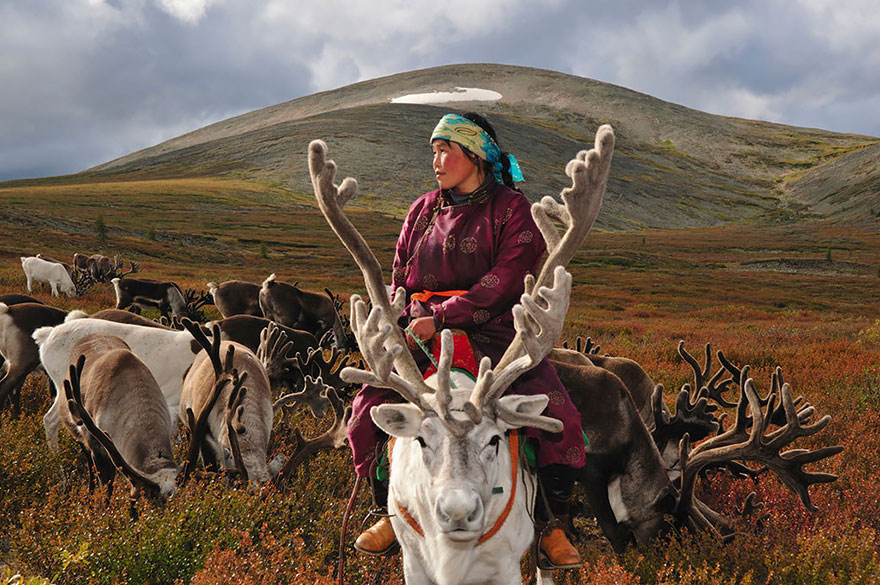 reindeer-people-hamid-sardar-afkhami-6
