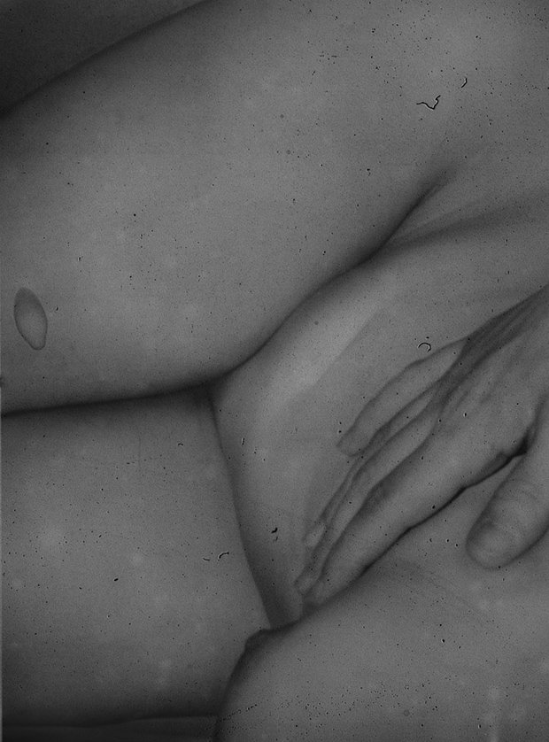 Daisuke_Yokota_03