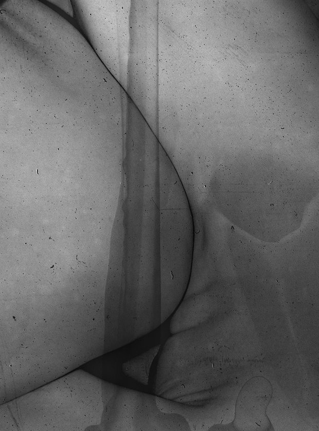 Daisuke_Yokota_11