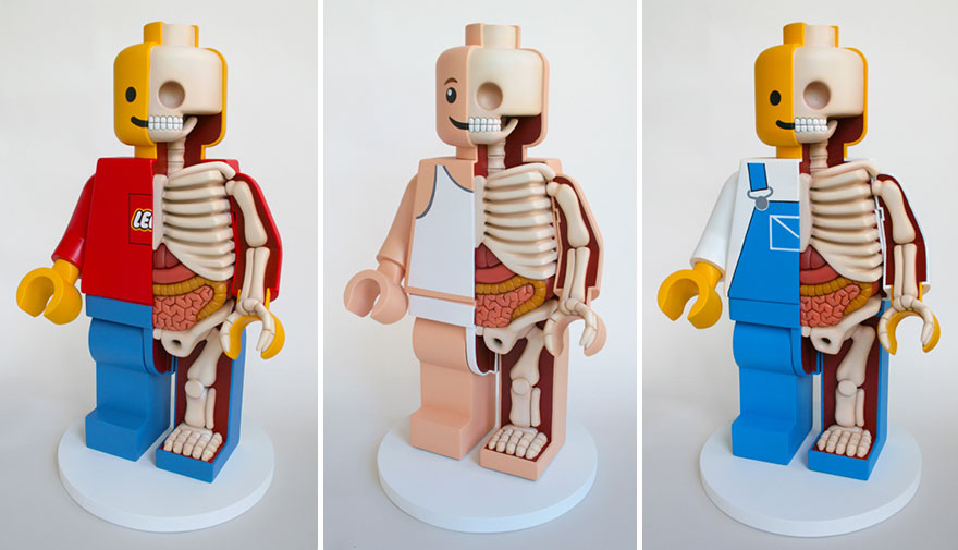 children-toy-cartoon-anatomy-bones-insides-jason-freeny-17__880
