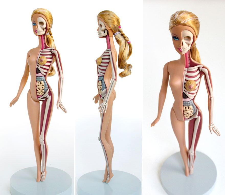 children-toy-cartoon-anatomy-bones-insides-jason-freeny-19__880