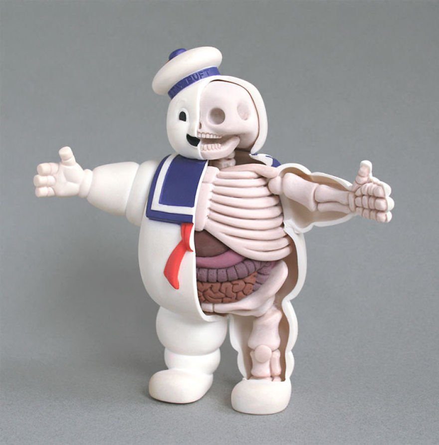 children-toy-cartoon-anatomy-bones-insides-jason-freeny-3__880