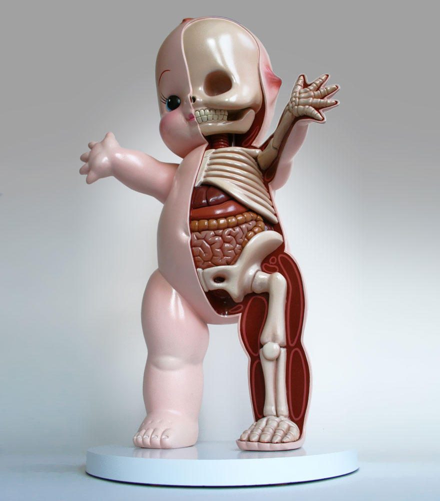 children-toy-cartoon-anatomy-bones-insides-jason-freeny-4__880