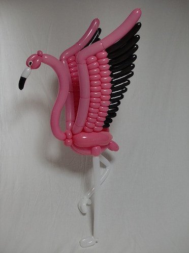 Flamingo1