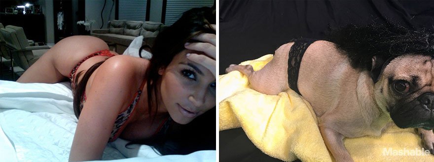 doug-the-pug-recreates-kim-kardashian-selfies-5