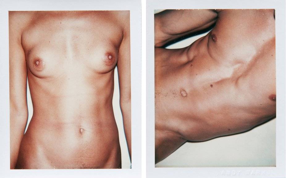 left-torso-1980-right-torso-1980brphotos-by-andy-warhol