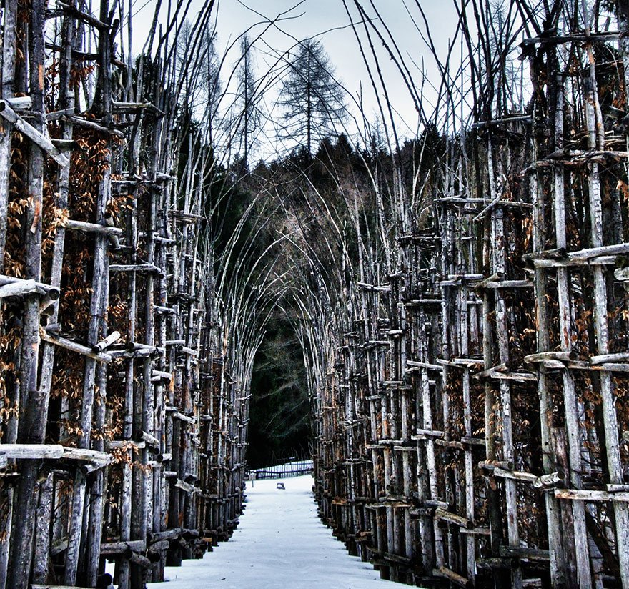 tree-cathedral-cattedrale-vegetale-giuliano-mauri-11