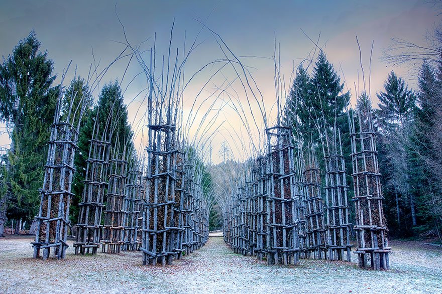 tree-cathedral-cattedrale-vegetale-giuliano-mauri-12