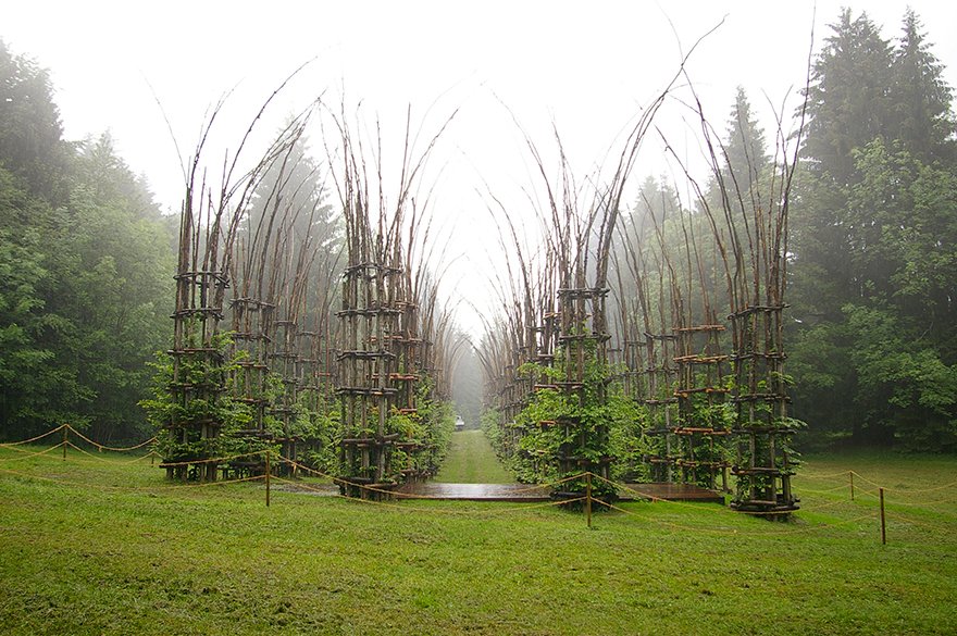 tree-cathedral-cattedrale-vegetale-giuliano-mauri-3