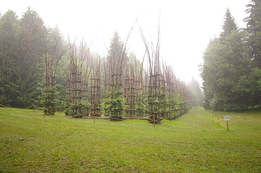 tree-cathedral-cattedrale-vegetale-giuliano-mauri-4