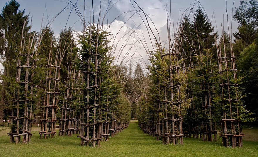 tree-cathedral-cattedrale-vegetale-giuliano-mauri-8