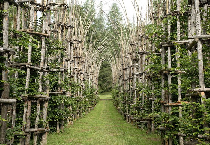 tree-cathedral-cattedrale-vegetale-giuliano-mauri-coverimage