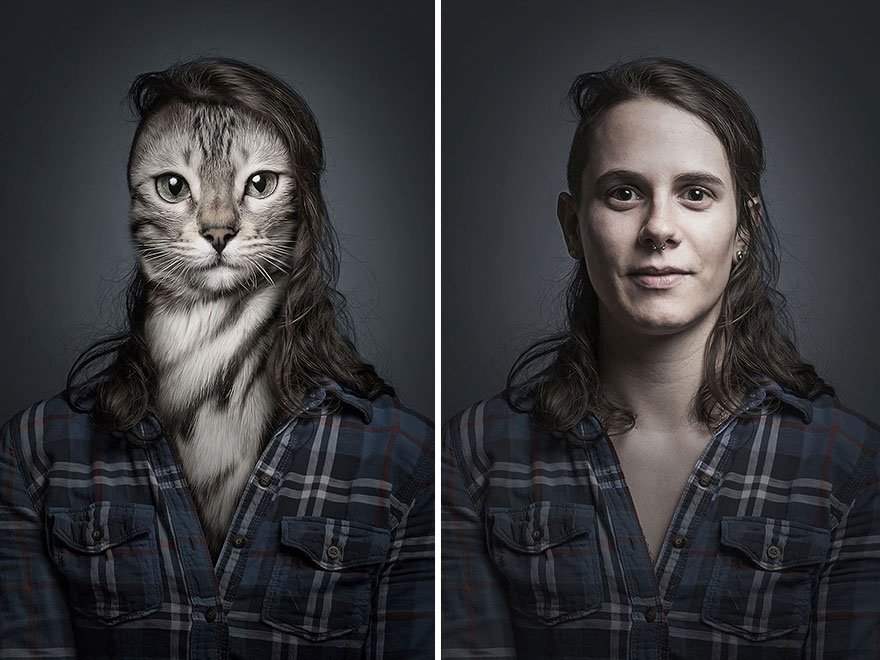 Undercats-by-Sebastian-Magnani23__880