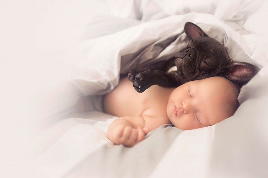 baby-dog-friendship-french-bulldog-ivette-ivens-2