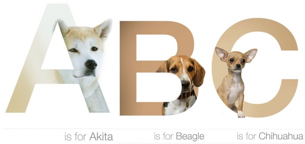 Artist Creates Adorable Dog Alphabet By Using The First Letter Of Their ...