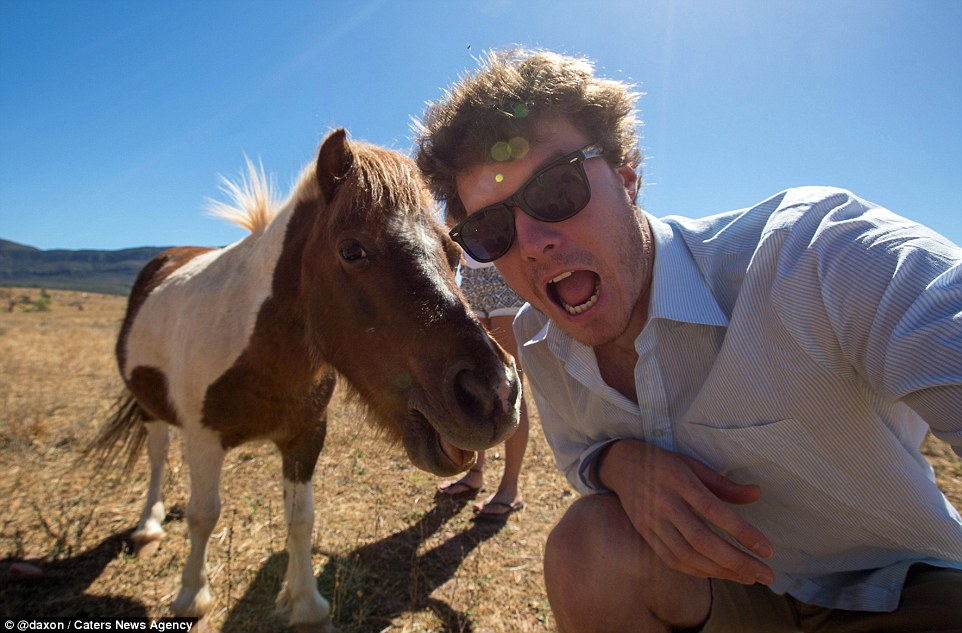 This Guy Takes Selfies With Wild Animals and They Are More Than Hilarious -  Art-Sheep