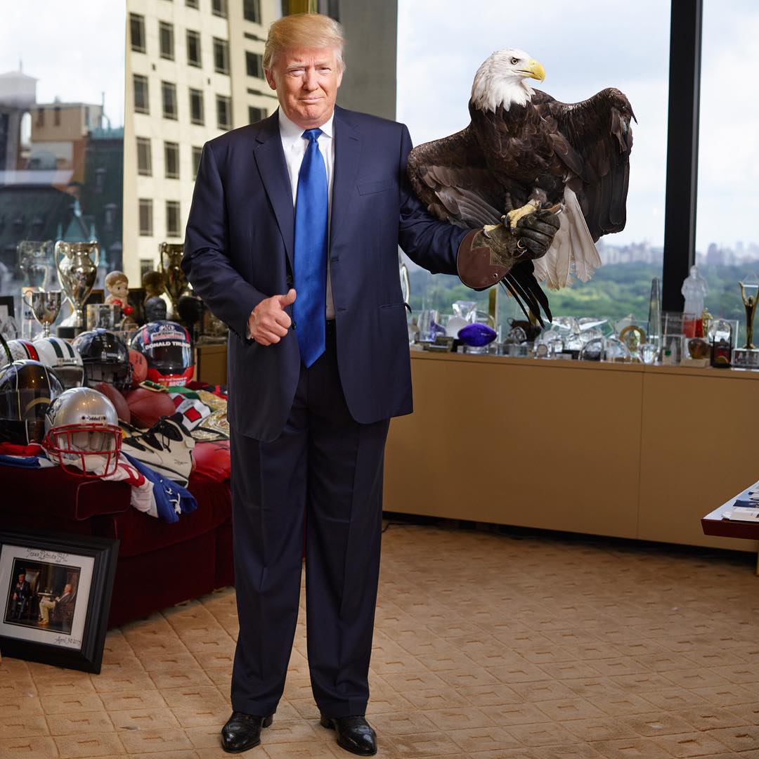 bald-eagle-attacks-trump-photo-shoot-time-magazine-4