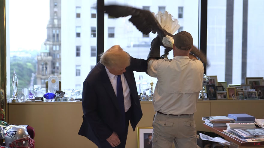 bald-eagle-attacks-trump-photo-shoot-time-magazine-6