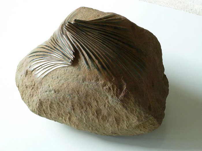 dynamic-plastic-organic-rocks-jose-manuel-castro-lopez-15