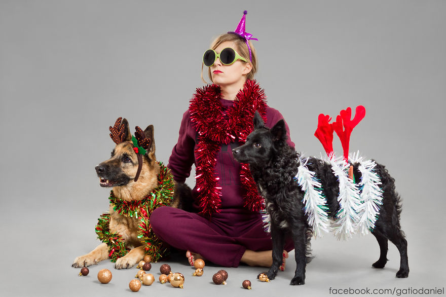 i-took-christmas-themed-dog-portraits-to-wish-you-happy-holidays-7__880