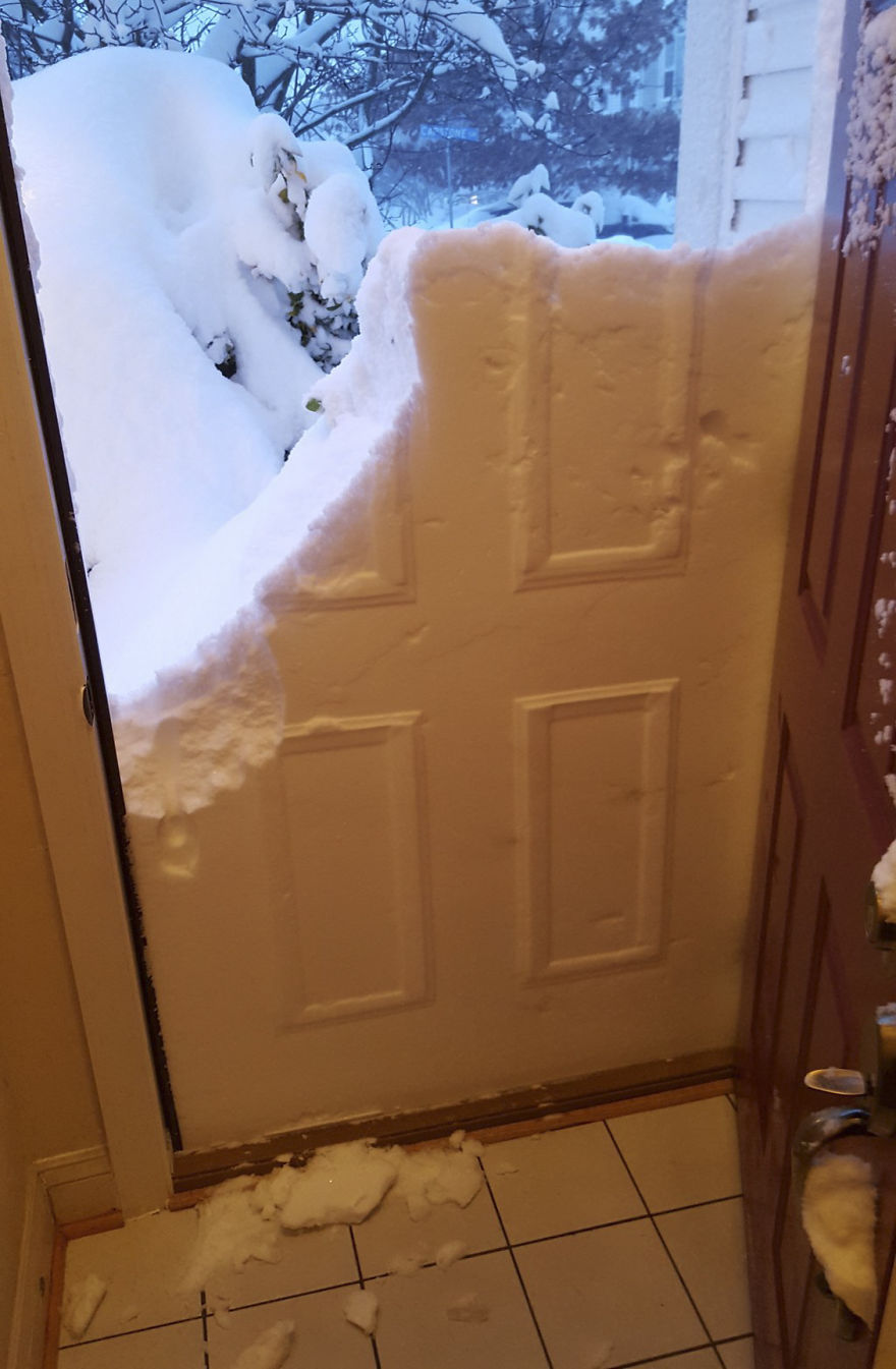 15-pics-that-perfectly-capture-how-insane-blizzard2016-ls-5__880