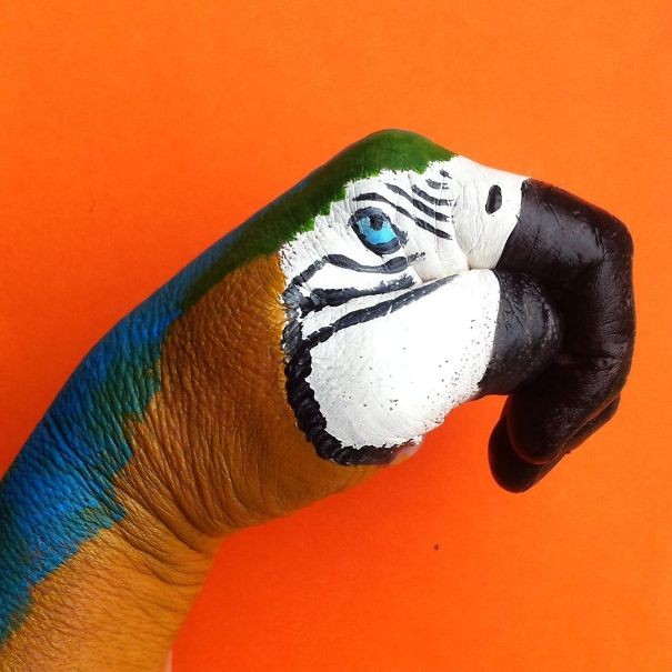 i-turn-my-hands-into-animals-with-body-paint-5__605
