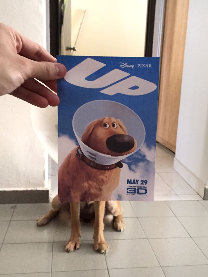 instagrammer-mashes-up-famous-movie-posters-with-real-life-puppies-2__700