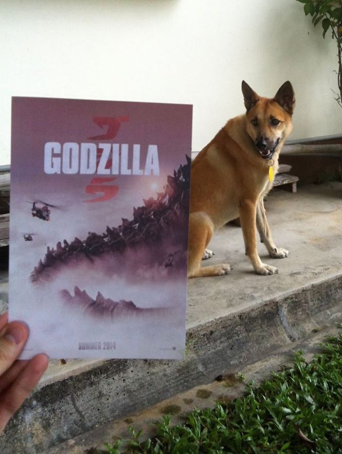 instagrammer-mashes-up-famous-movie-posters-with-real-life-puppies-9__700